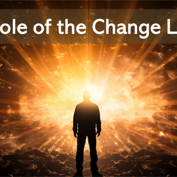 The Role of the Change Leader