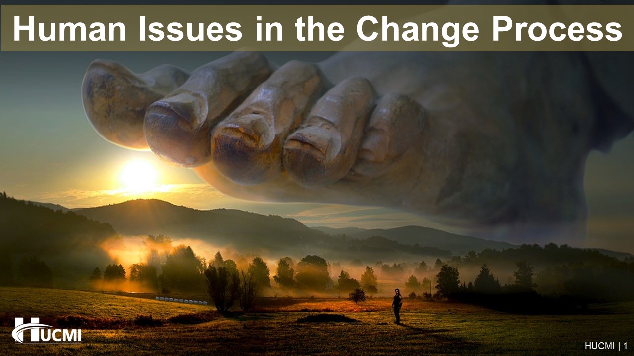 Human Issues in the Change Process
